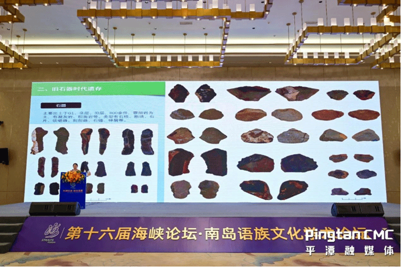 智慧博物馆，福建 第十六届海峡论坛·南岛语族文化学术论坛举办